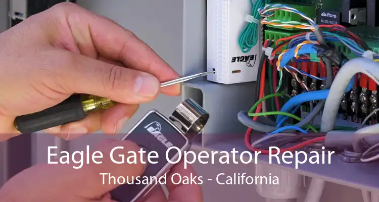 Eagle Gate Operator Repair Thousand Oaks - California