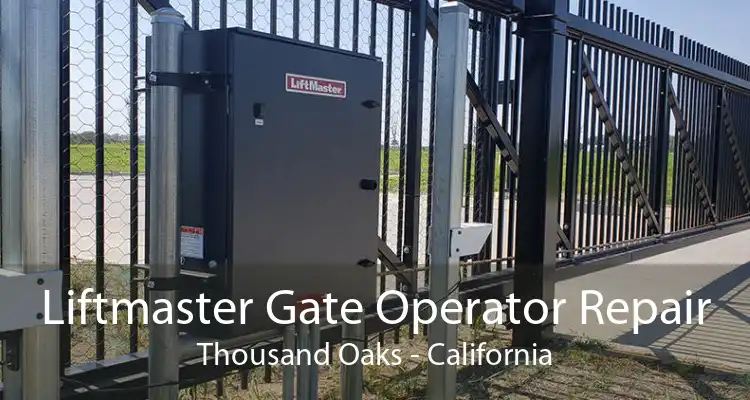 Liftmaster Gate Operator Repair Thousand Oaks - California